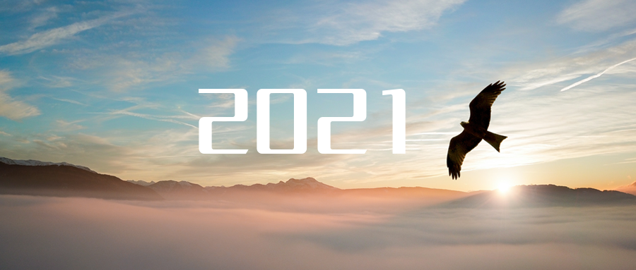 乘“峰”而上，智“盈”未来 ——2021年星空环境高级资深副总裁新年开工动员